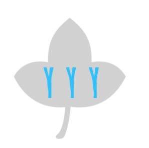 Yes Yes Y'all Consulting